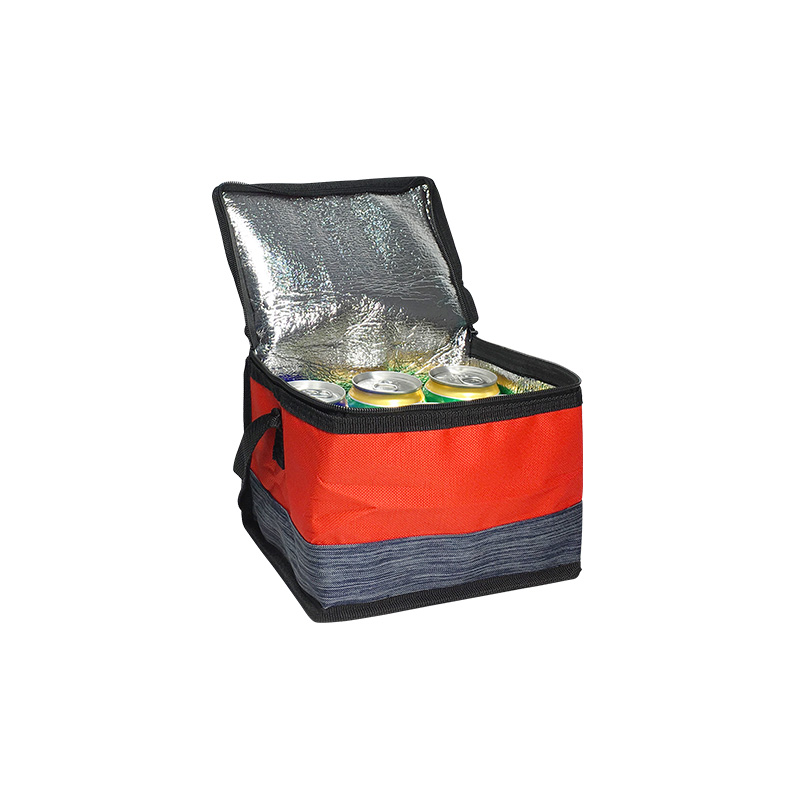 6 cans cooler bag ZKBS8647