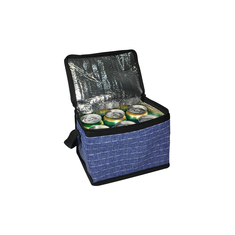 6 cans cooler bag ZKBS8648